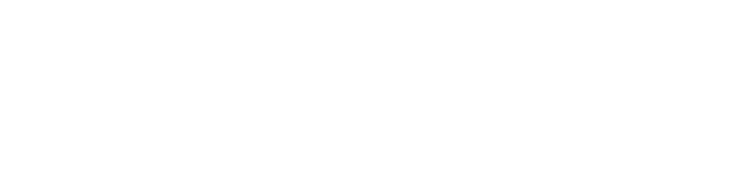 Systems Insight (Software Development Company) logo